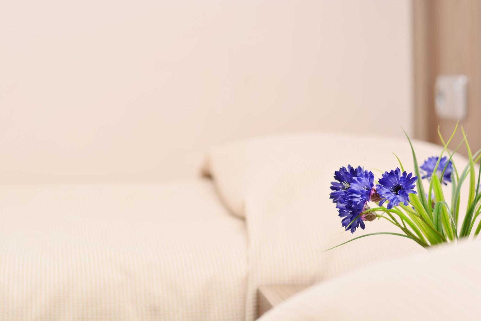 Hotel Grejaus Namas Kėdainiai Zimmer foto